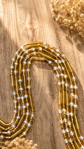 Nassa waist beads